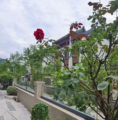 الحواجز الزجاجية المرنة من الألومنيوم U Channel