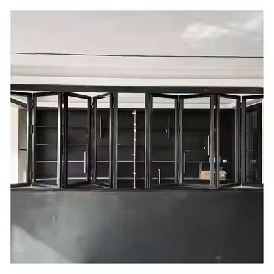 النوافذ المزدوجة التجارية المقاومة للإعصار مع سد النافذة والجهاز