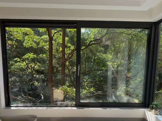 الزجاج المزدوج المخصص الإطار الأسود الألومنيوم الزاحف الشريحة النوافذ
